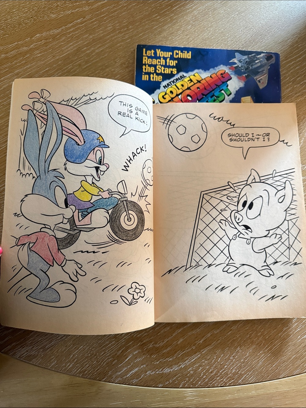 Vintage Tiny Toons and Garfield Coloring Books USED - Picture 7 of 16